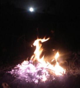 Full Moon Fire Burns Diseased Wood and Memories