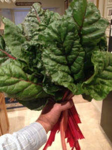 Swiss Chard bouquet -- from my garden to my mouth in 5 minutes
