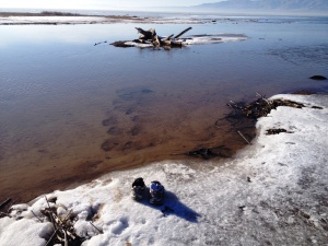Walking into Utah Lake and the Spanish Fork River, January, across snow and ice: tennis shoes and footprints in the river bottom