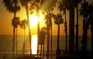 SoCal Palm tree sunset -- warm sea breeze at San Clemente Beach