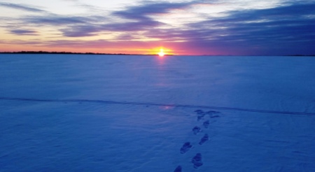 Cross Country Ski tracks on frozen Lake Winneconne, WI
