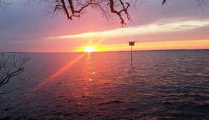 Lake Winneconne mid-April sunset and purple martin house, no migrating birds yet