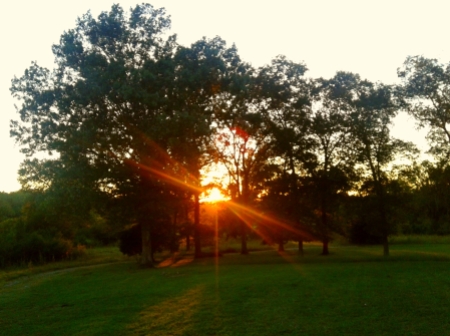 Front porch view, Sept. 2017 sunset through shagbark hickory trees