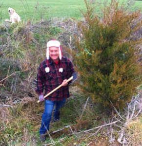 Cutting my Christmas Tree in Dixie: My Land!