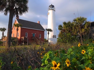 St. George Island FL lighthouse with wildflowers